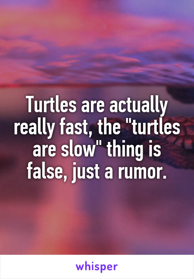 Turtles are actually really fast, the "turtles are slow" thing is false, just a rumor.