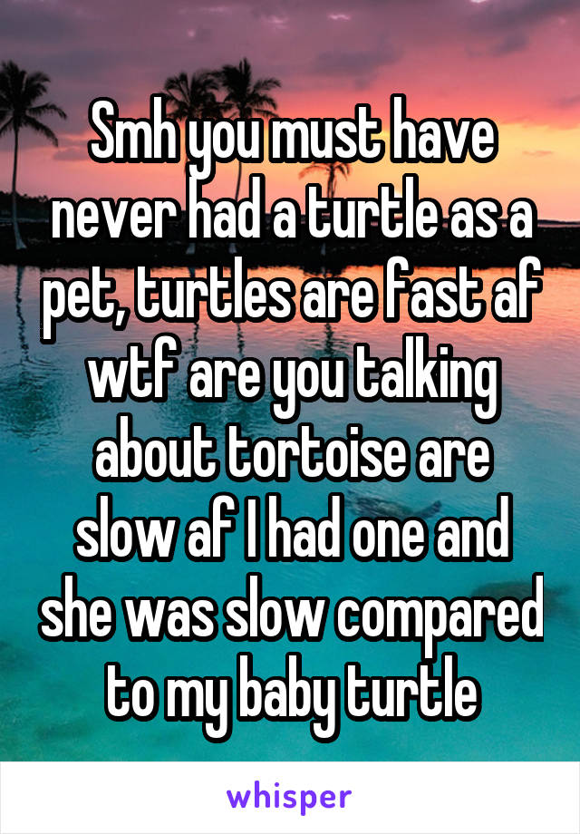 Smh you must have never had a turtle as a pet, turtles are fast af wtf are you talking about tortoise are slow af I had one and she was slow compared to my baby turtle
