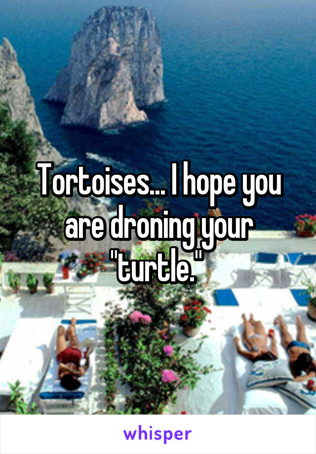 Tortoises... I hope you are droning your "turtle." 