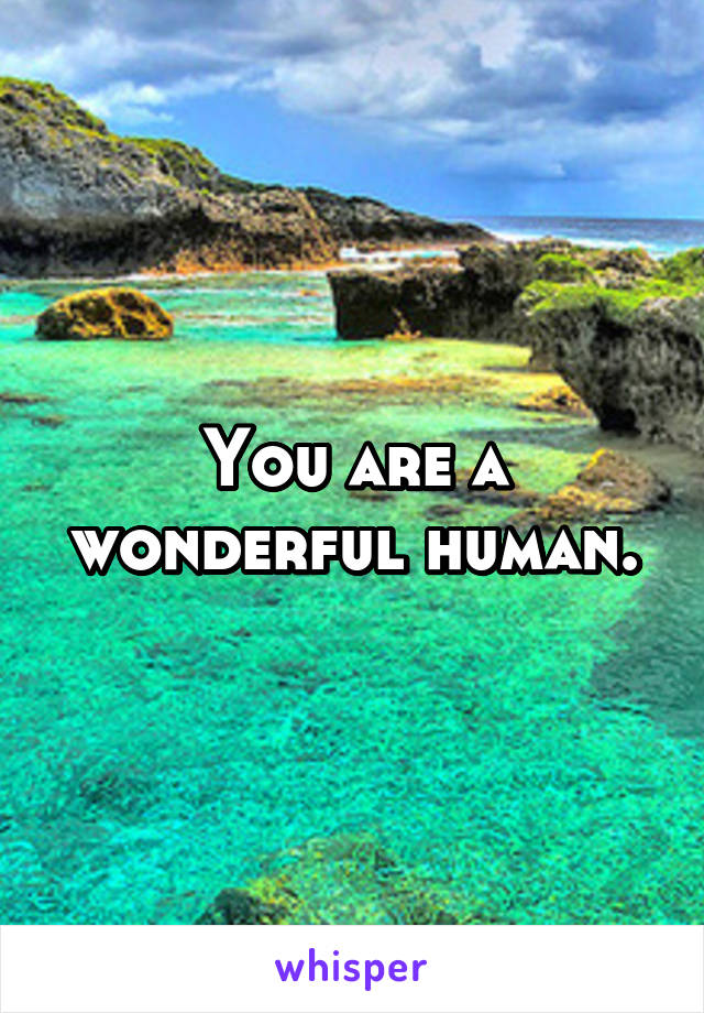 You are a wonderful human.