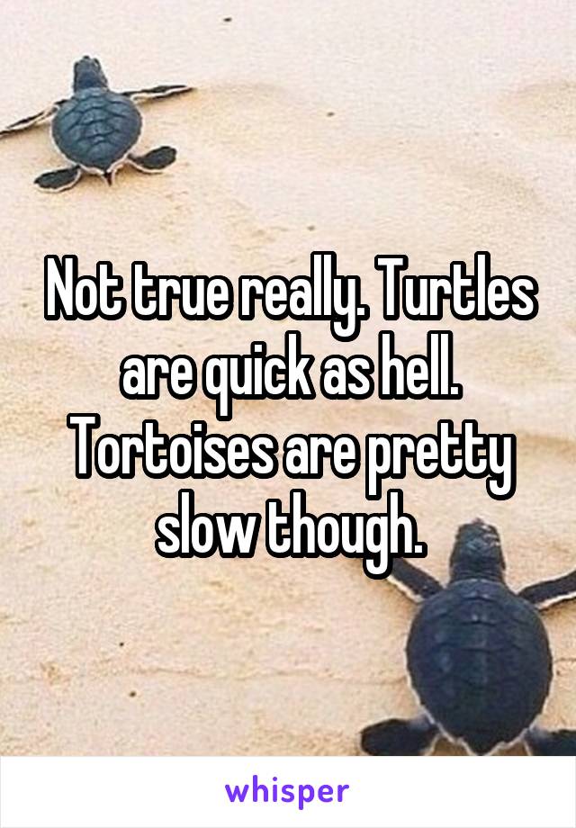 Not true really. Turtles are quick as hell. Tortoises are pretty slow though.