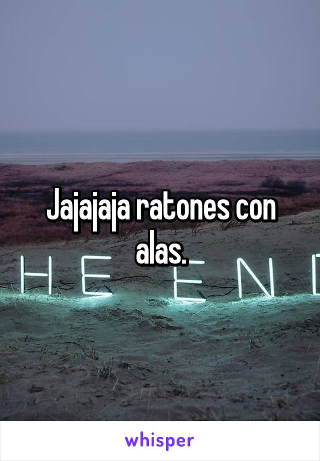 Jajajaja ratones con alas.