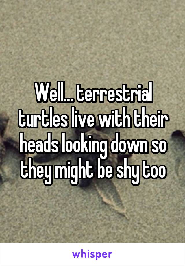 Well... terrestrial turtles live with their heads looking down so they might be shy too