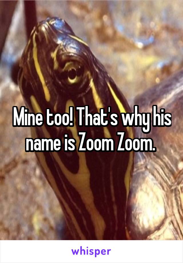 Mine too! That's why his name is Zoom Zoom. 