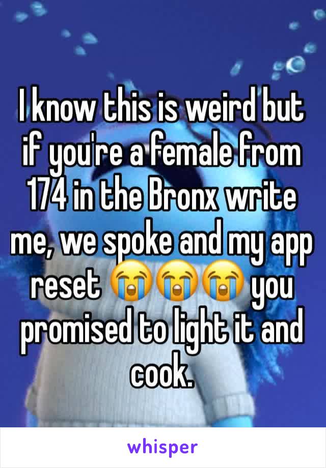 I know this is weird but if you're a female from 174 in the Bronx write me, we spoke and my app reset 😭😭😭 you promised to light it and cook. 