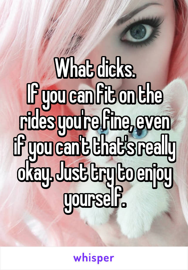 What dicks.
If you can fit on the rides you're fine, even if you can't that's really okay. Just try to enjoy yourself.
