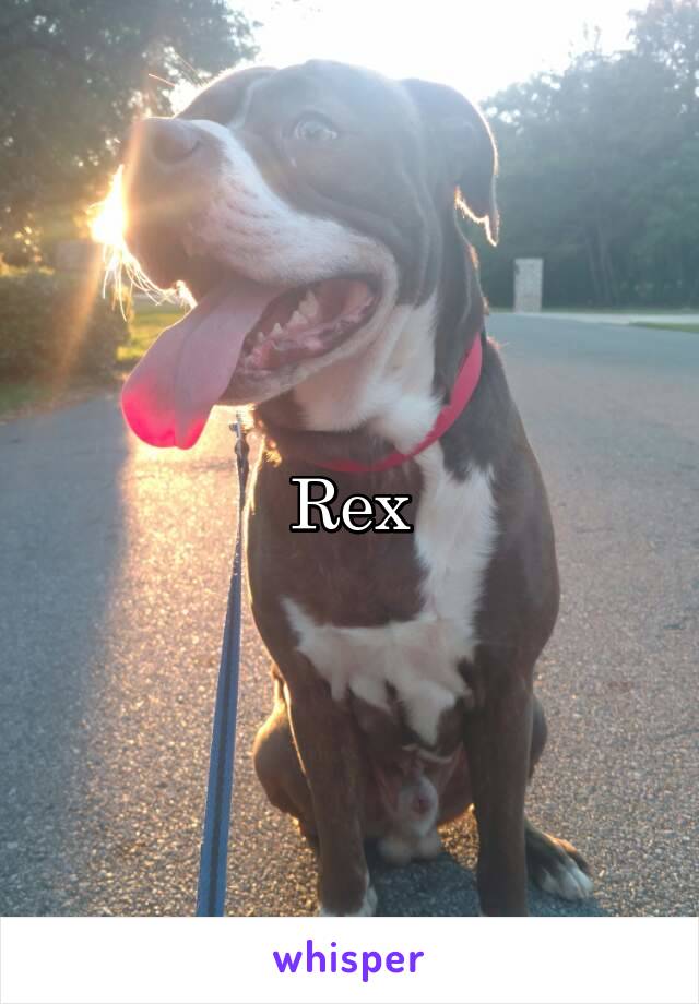 Rex