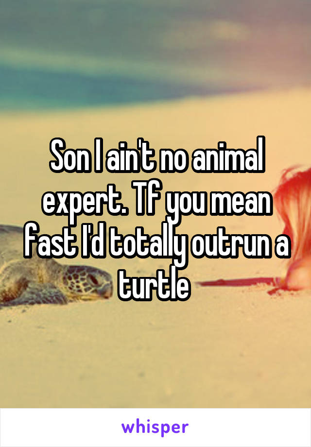 Son I ain't no animal expert. Tf you mean fast I'd totally outrun a turtle 