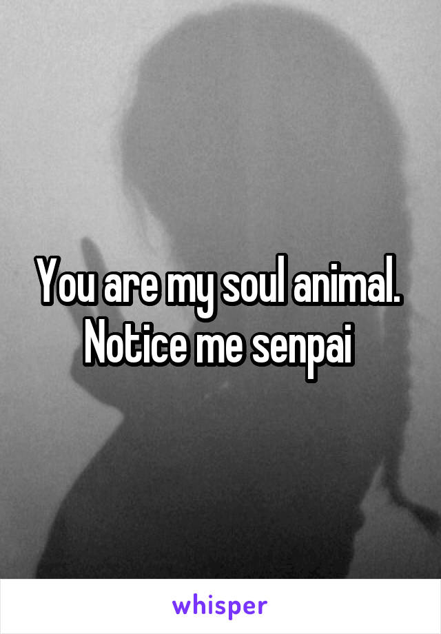 You are my soul animal. 
Notice me senpai 