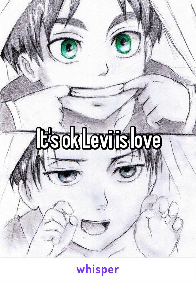 It's ok Levi is love