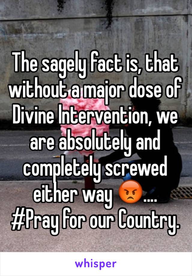 The sagely fact is, that without a major dose of Divine Intervention, we are absolutely and completely screwed either way 😡....
#Pray for our Country.