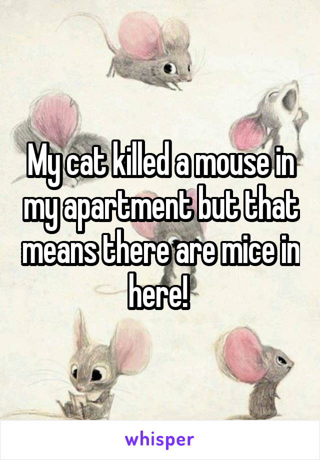 My cat killed a mouse in my apartment but that means there are mice in here! 