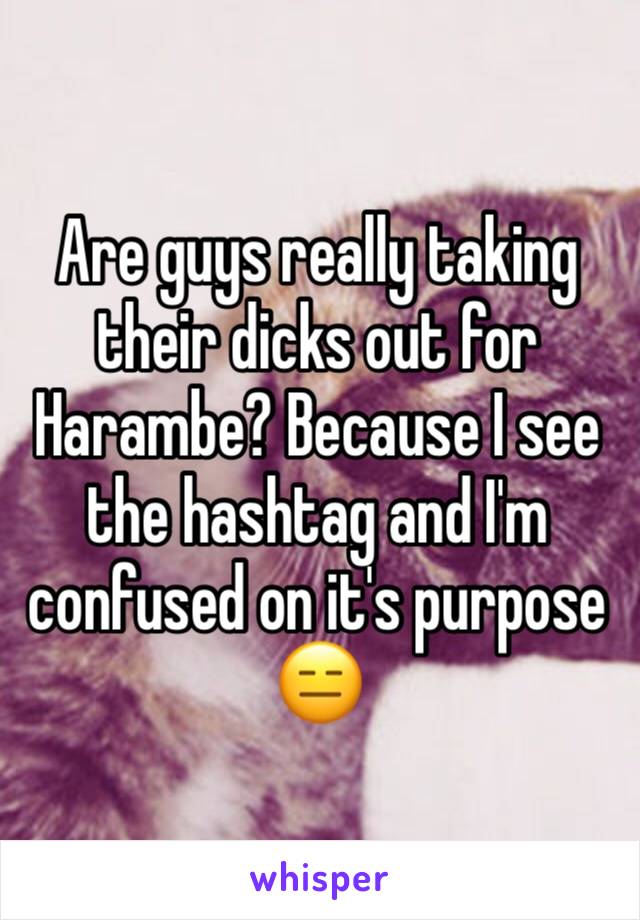 Are guys really taking their dicks out for Harambe? Because I see the hashtag and I'm confused on it's purpose 😑 