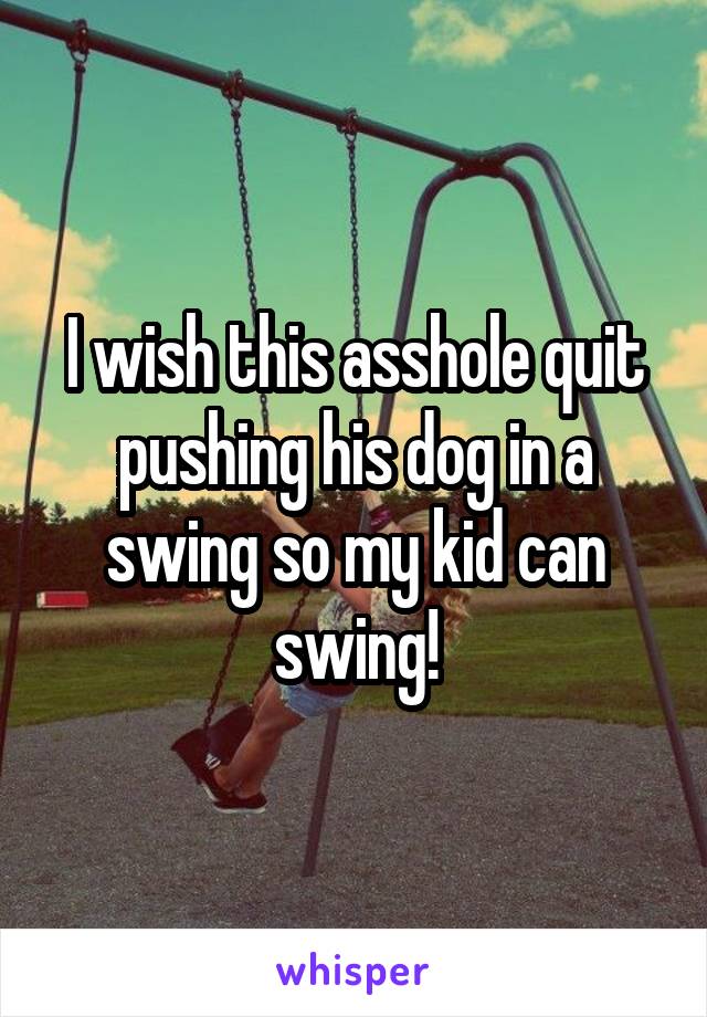 I wish this asshole quit pushing his dog in a swing so my kid can swing!