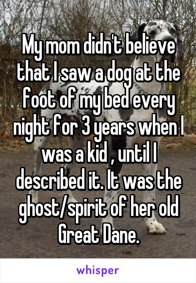 My mom didn't believe that I saw a dog at the foot of my bed every night for 3 years when I was a kid , until I described it. It was the ghost/spirit of her old Great Dane.