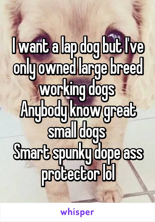I want a lap dog but I've only owned large breed working dogs 
Anybody know great small dogs 
Smart spunky dope ass protector lol
