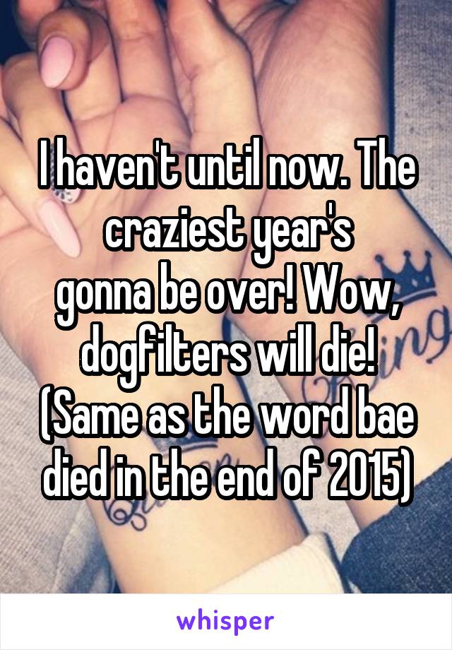 I haven't until now. The craziest year's
gonna be over! Wow, dogfilters will die! (Same as the word bae died in the end of 2015)