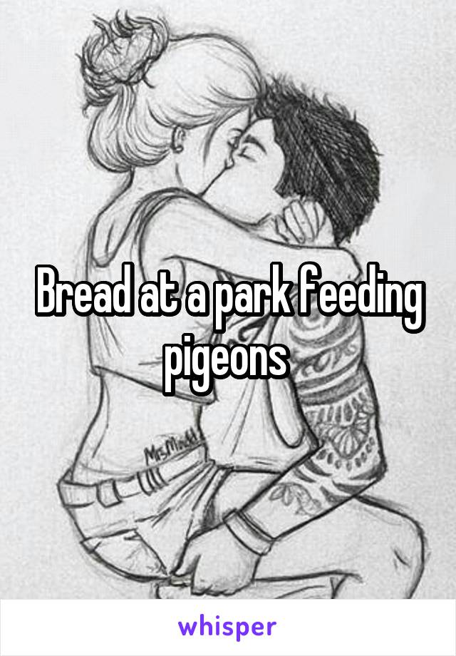 Bread at a park feeding pigeons 