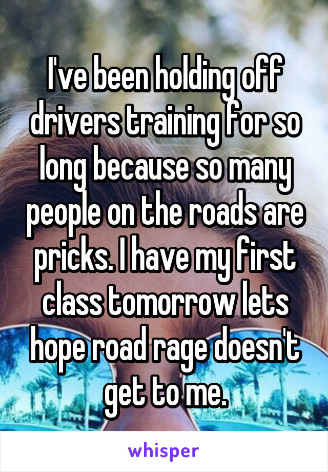 I've been holding off drivers training for so long because so many people on the roads are pricks. I have my first class tomorrow lets hope road rage doesn't get to me.