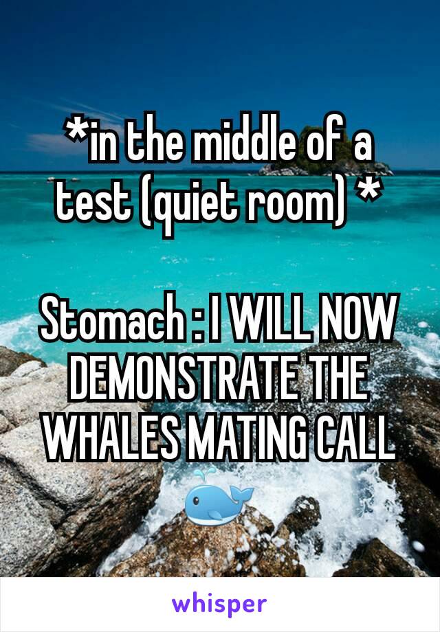 *in the middle of a test (quiet room) *

Stomach : I WILL NOW DEMONSTRATE THE WHALES MATING CALL 🐳