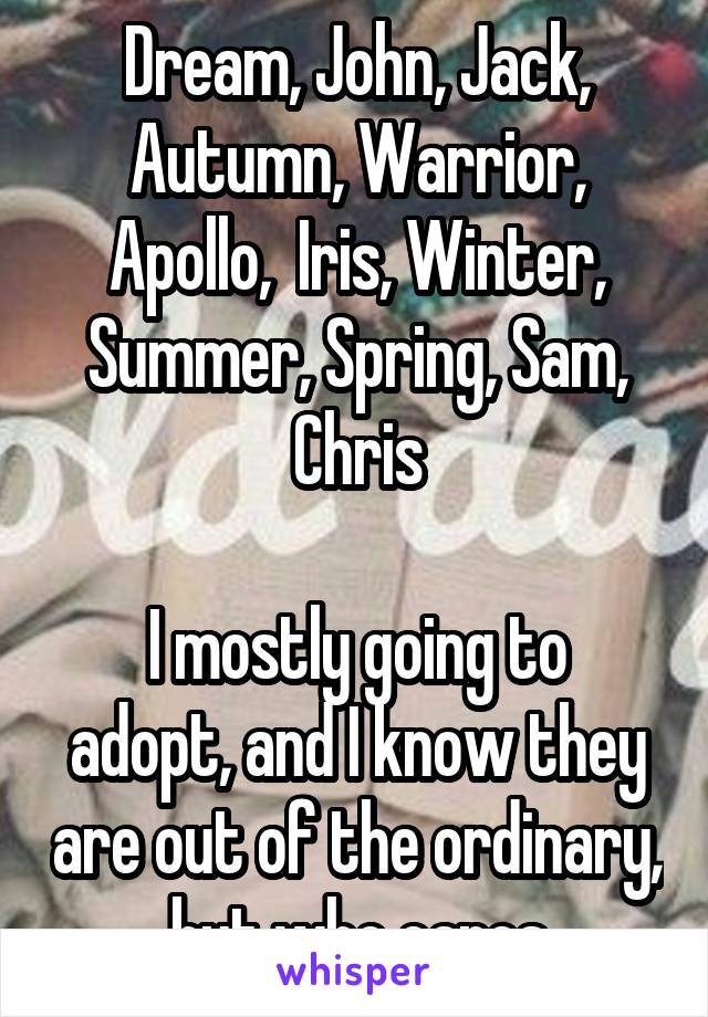Dream, John, Jack, Autumn, Warrior, Apollo,  Iris, Winter, Summer, Spring, Sam, Chris

I mostly going to adopt, and I know they are out of the ordinary, but who cares