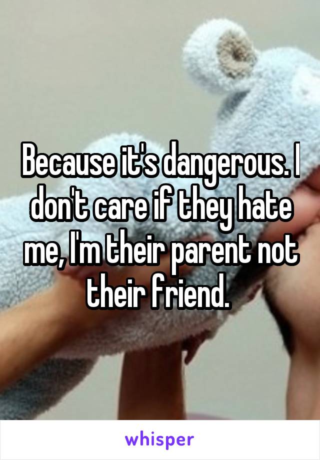 Because it's dangerous. I don't care if they hate me, I'm their parent not their friend. 