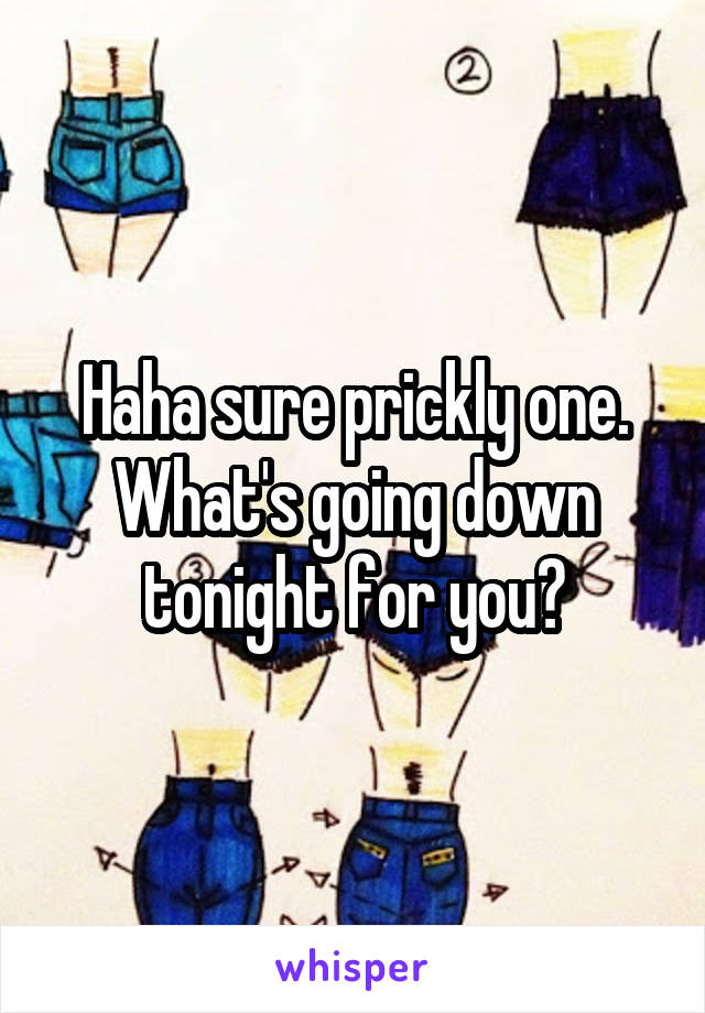 Haha sure prickly one. What's going down tonight for you?