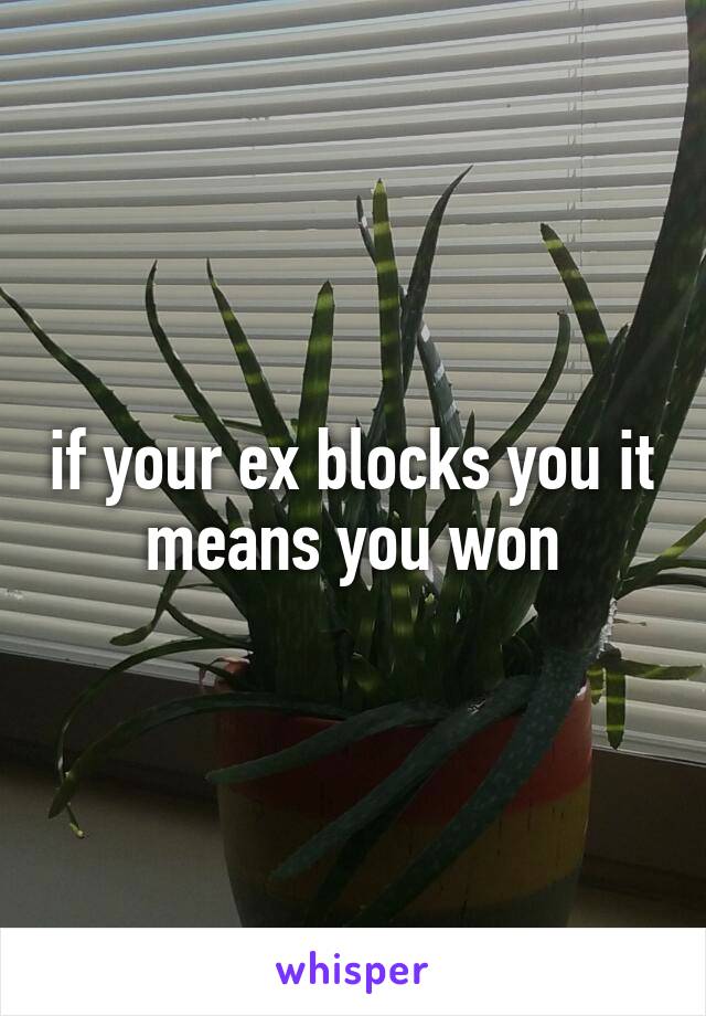 if your ex blocks you it means you won