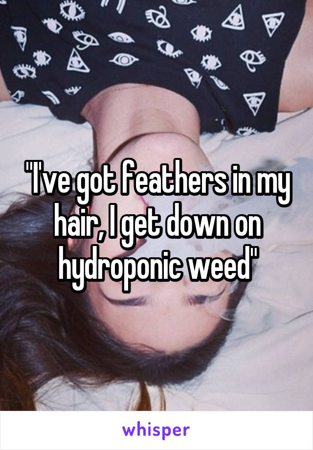 "I've got feathers in my hair, I get down on hydroponic weed"
