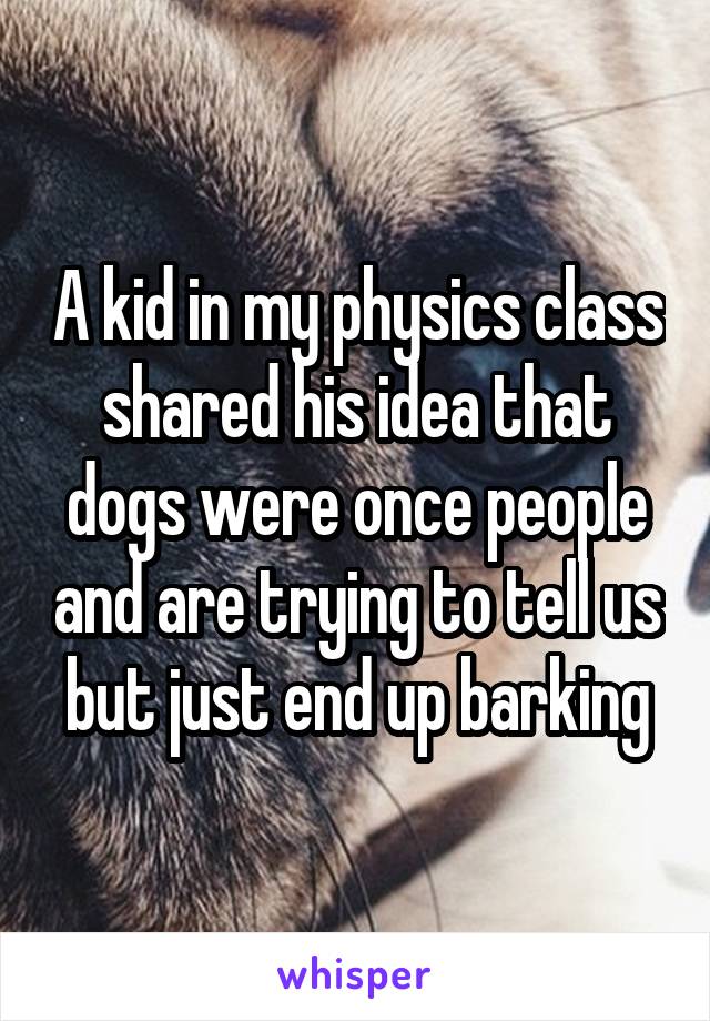 A kid in my physics class shared his idea that dogs were once people and are trying to tell us but just end up barking