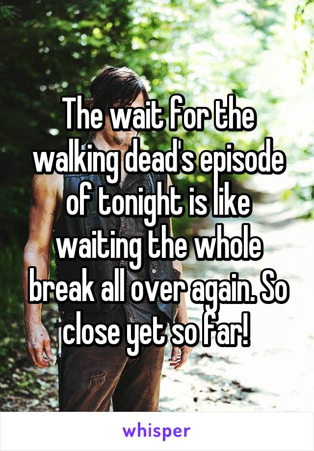 The wait for the walking dead's episode of tonight is like waiting the whole break all over again. So close yet so far! 