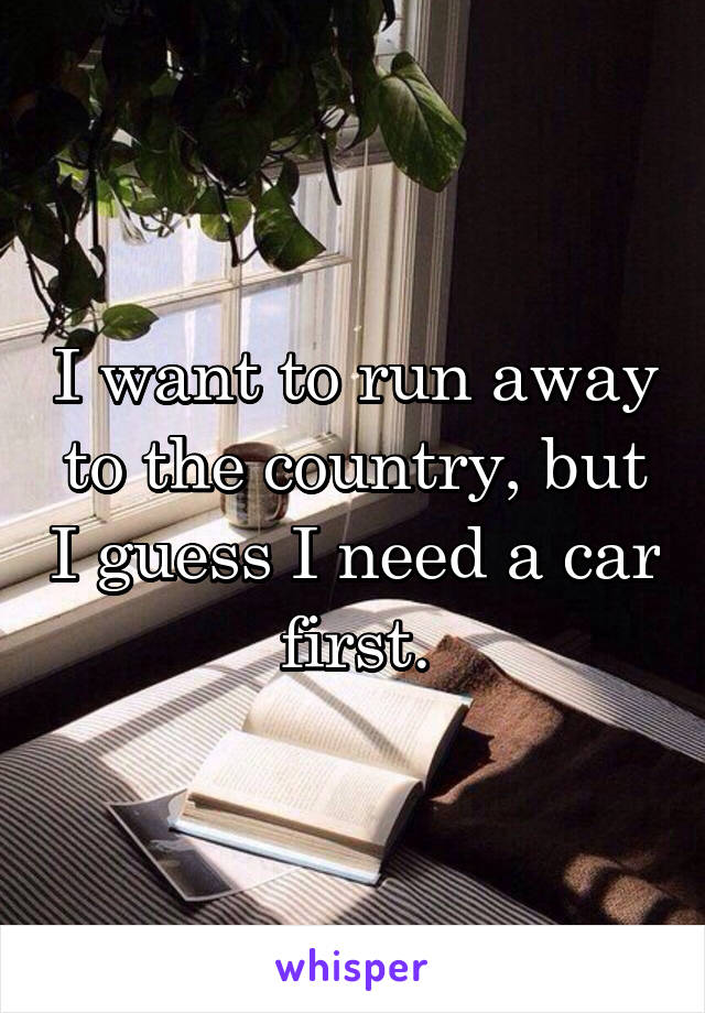I want to run away to the country, but I guess I need a car first.