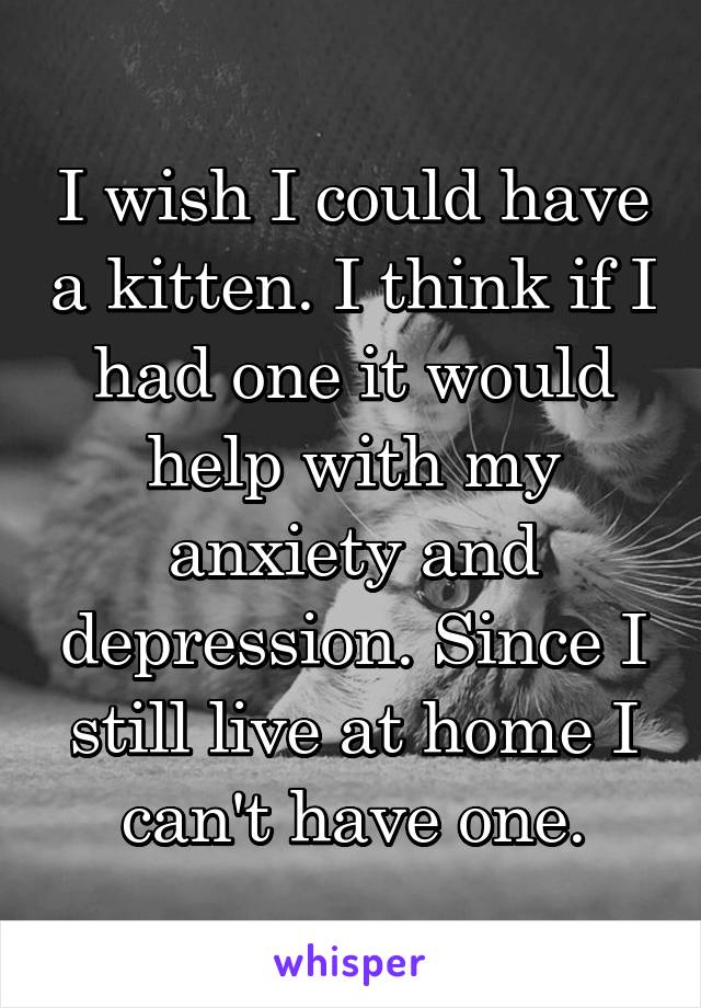 I wish I could have a kitten. I think if I had one it would help with my anxiety and depression. Since I still live at home I can't have one.