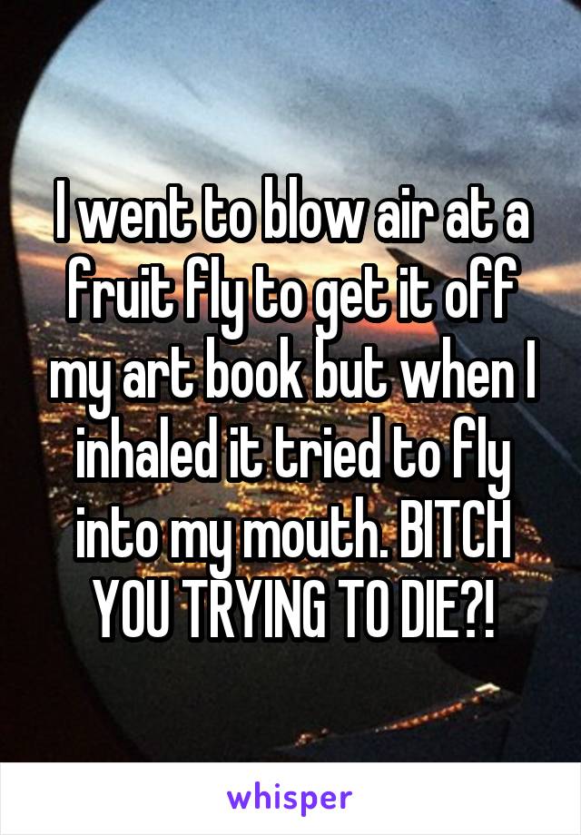 I went to blow air at a fruit fly to get it off my art book but when I inhaled it tried to fly into my mouth. BITCH YOU TRYING TO DIE?!