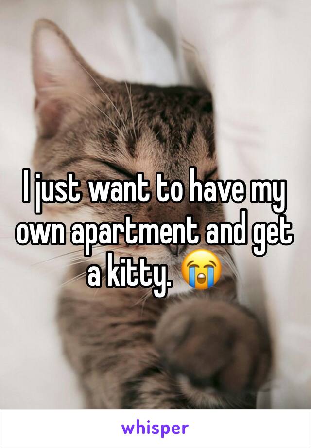 I just want to have my own apartment and get a kitty. 😭