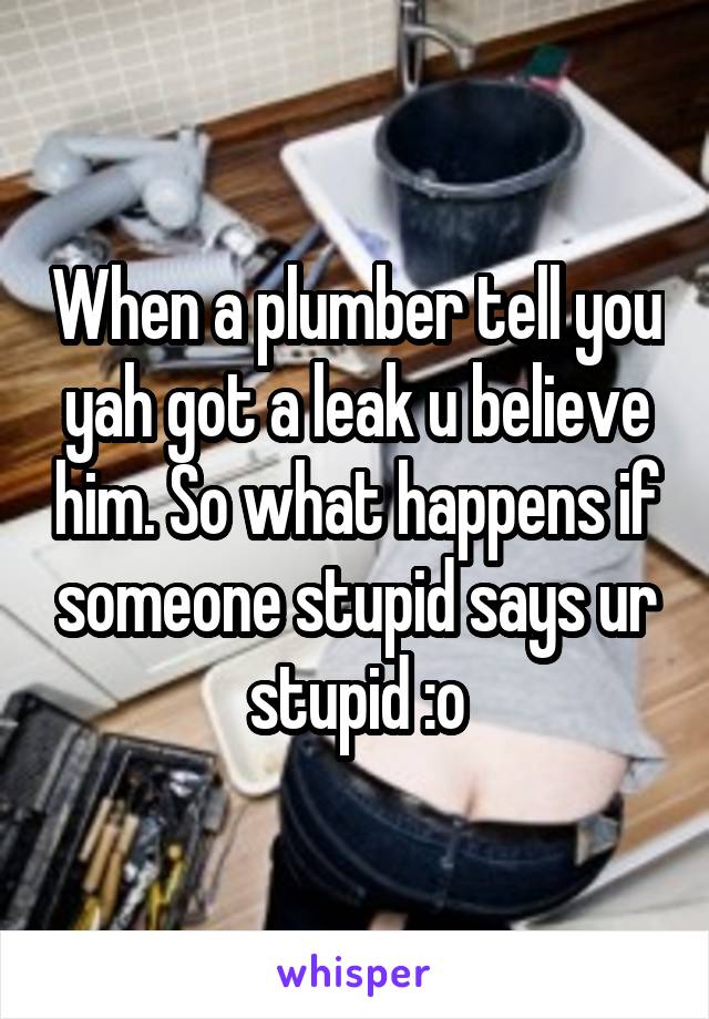When a plumber tell you yah got a leak u believe him. So what happens if someone stupid says ur stupid :o
