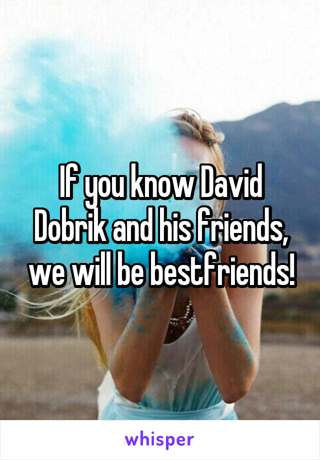 If you know David Dobrik and his friends, we will be bestfriends!