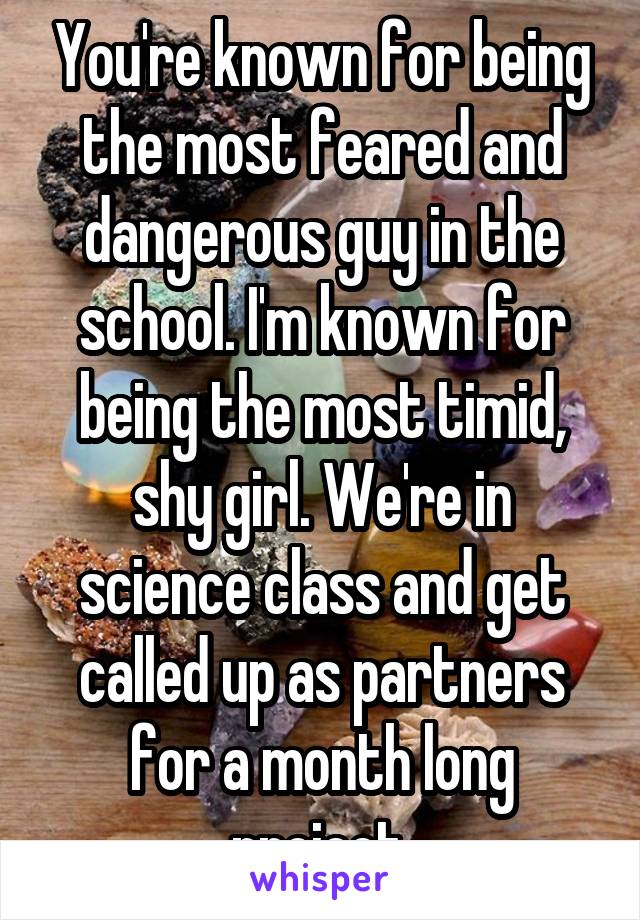 You're known for being the most feared and dangerous guy in the school. I'm known for being the most timid, shy girl. We're in science class and get called up as partners for a month long project.