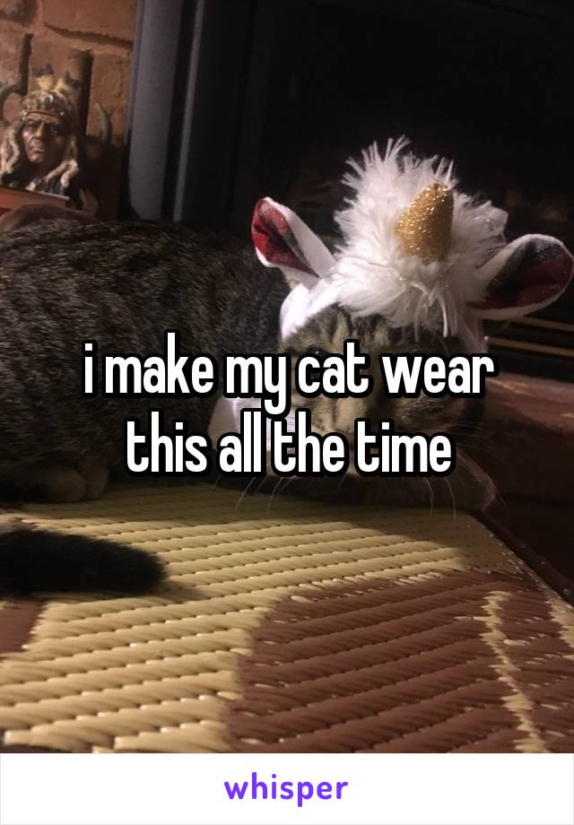 i make my cat wear this all the time