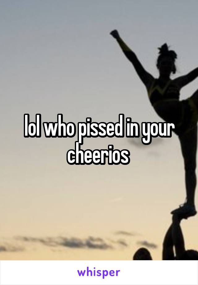 lol who pissed in your cheerios 