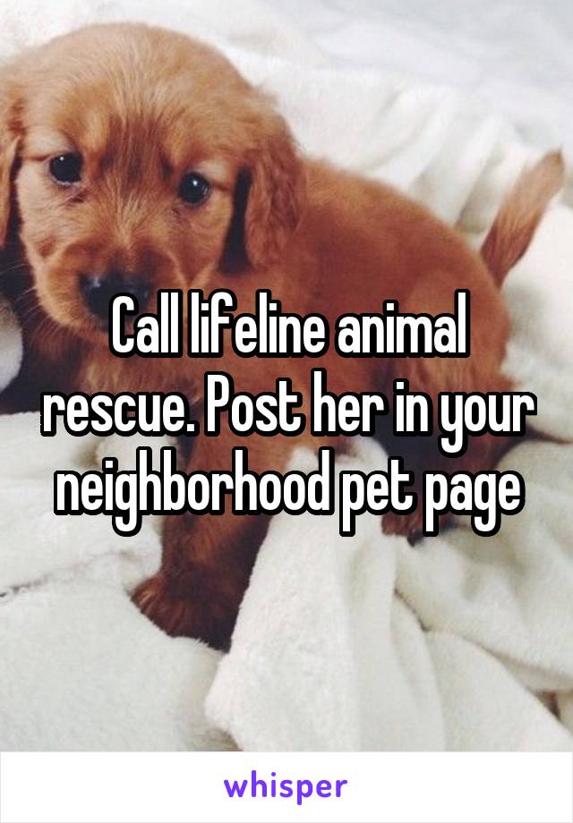Call lifeline animal rescue. Post her in your neighborhood pet page