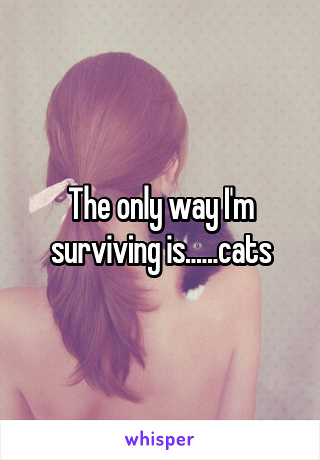 The only way I'm surviving is......cats