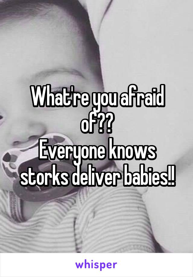 What're you afraid of??
Everyone knows storks deliver babies!!