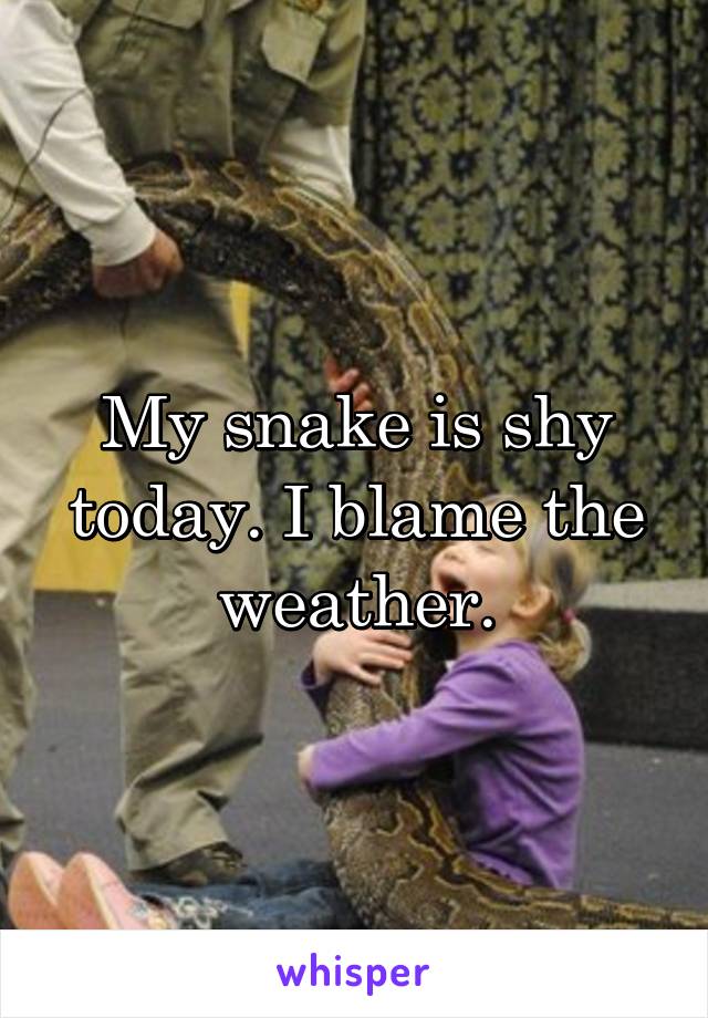 My snake is shy today. I blame the weather.