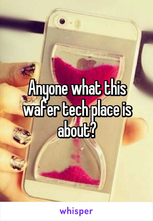 Anyone what this wafer tech place is about?