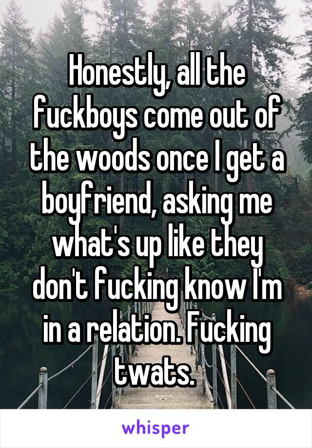Honestly, all the fuckboys come out of the woods once I get a boyfriend, asking me what's up like they don't fucking know I'm in a relation. Fucking twats. 