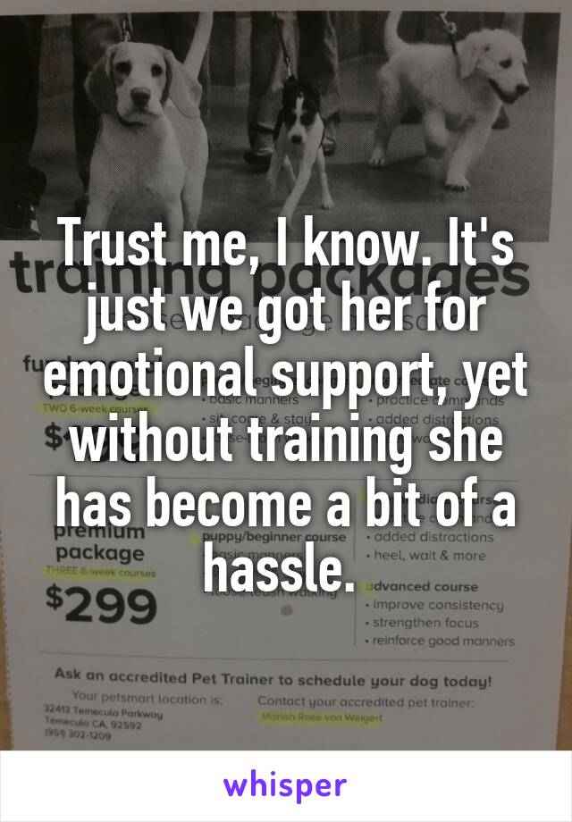 Trust me, I know. It's just we got her for emotional support, yet without training she has become a bit of a hassle. 