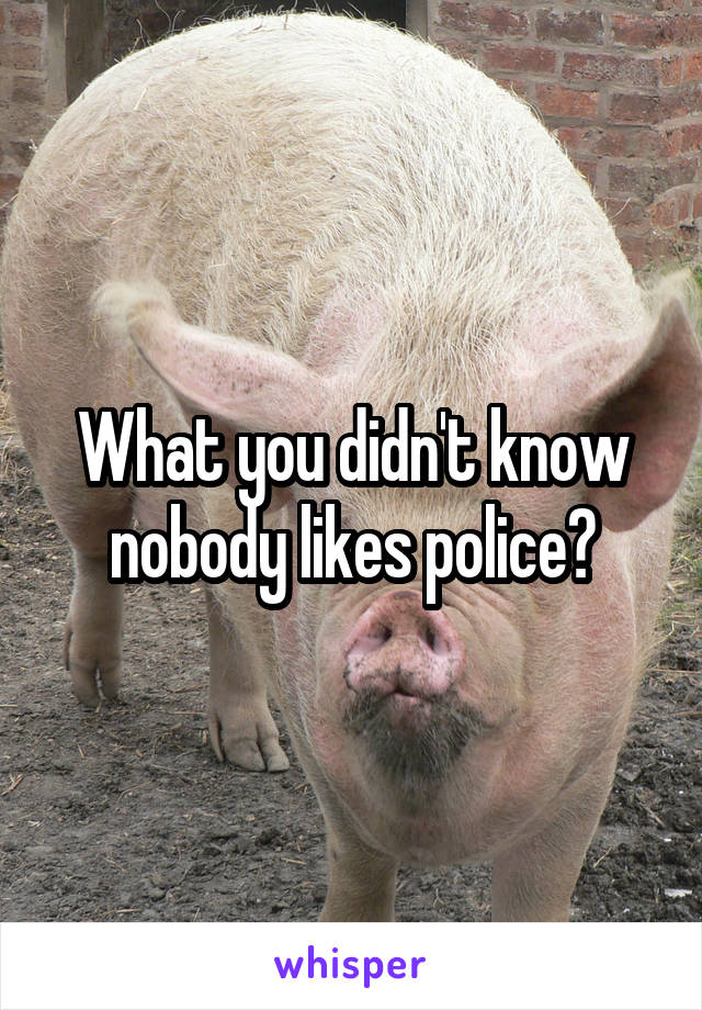 What you didn't know nobody likes police?