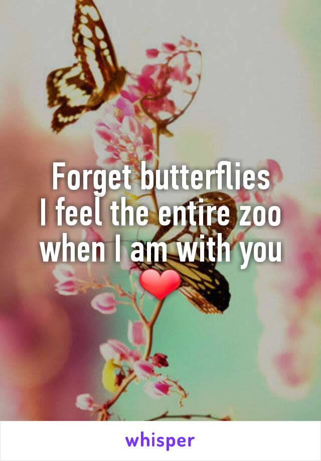Forget butterflies
I feel the entire zoo when I am with you
❤️