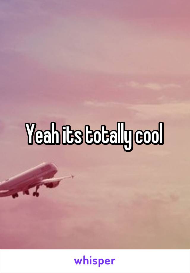 Yeah its totally cool 
